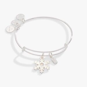 2022 Crystal Snowflake Charm Bangle Alex and Ani